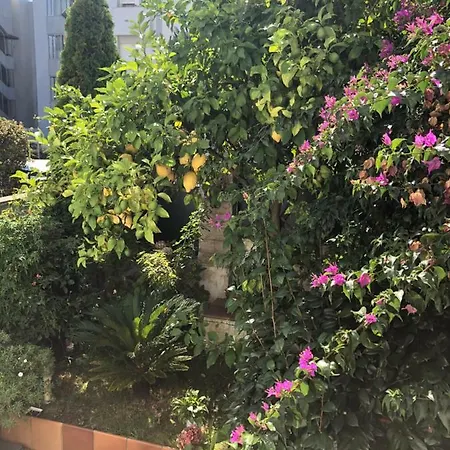 Loft Edificio Maura Primera Playa Apartamento Santander