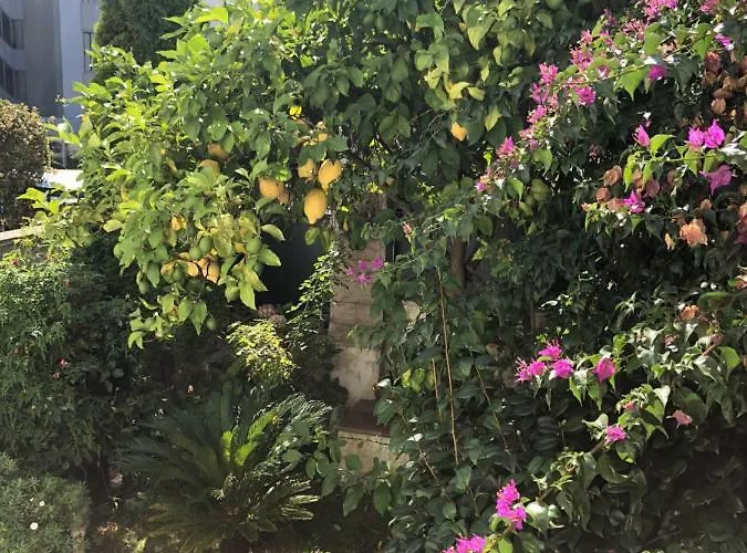 Loft Edificio Maura Primera Playa 아파트 산탄데르